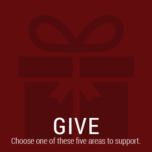 Give Now - Choose one of these five areas of support